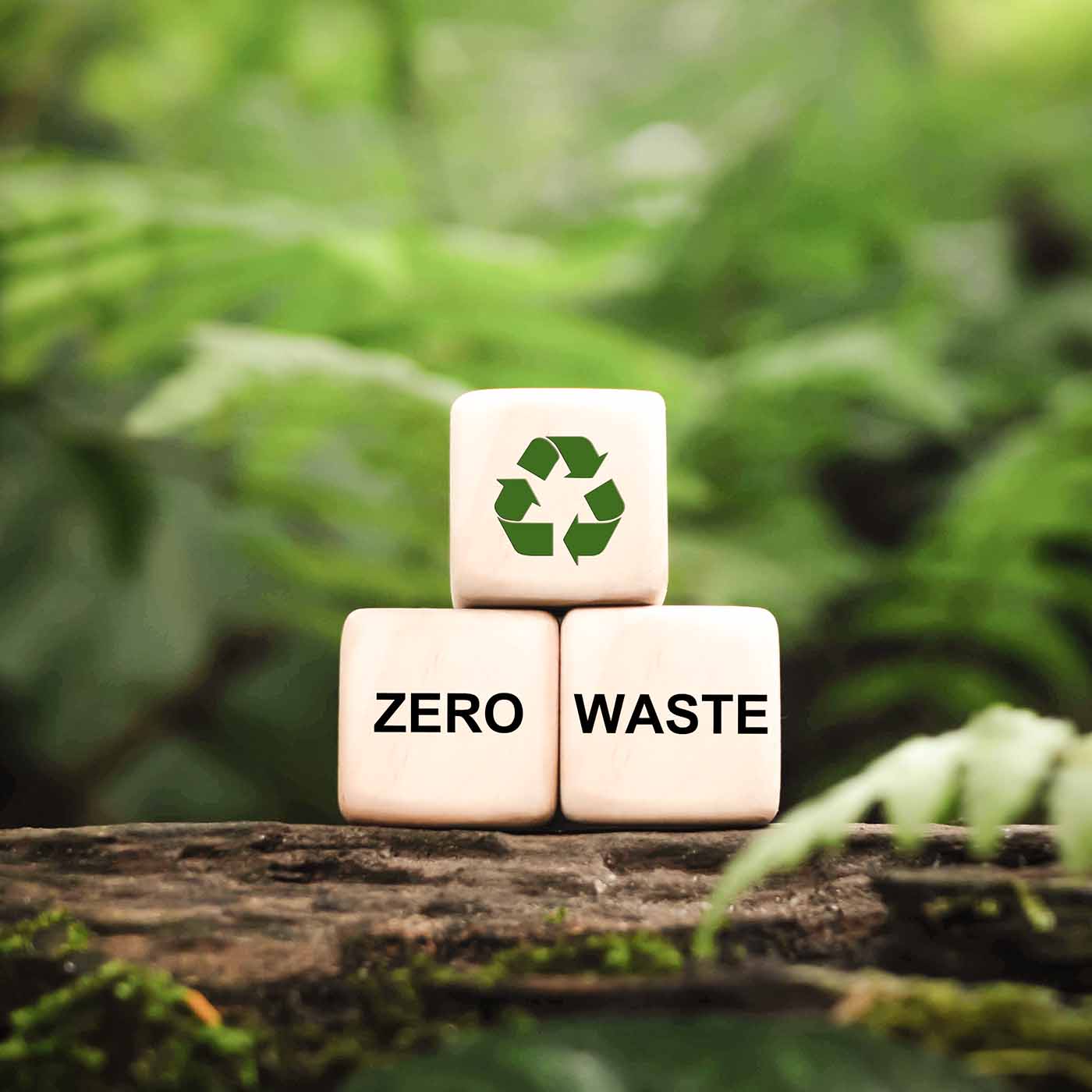 Dadi con simbolo del riciclo e 'zero waste' - Il nostro impegno per l'ambiente con pratiche sostenibili su Beliamo.com