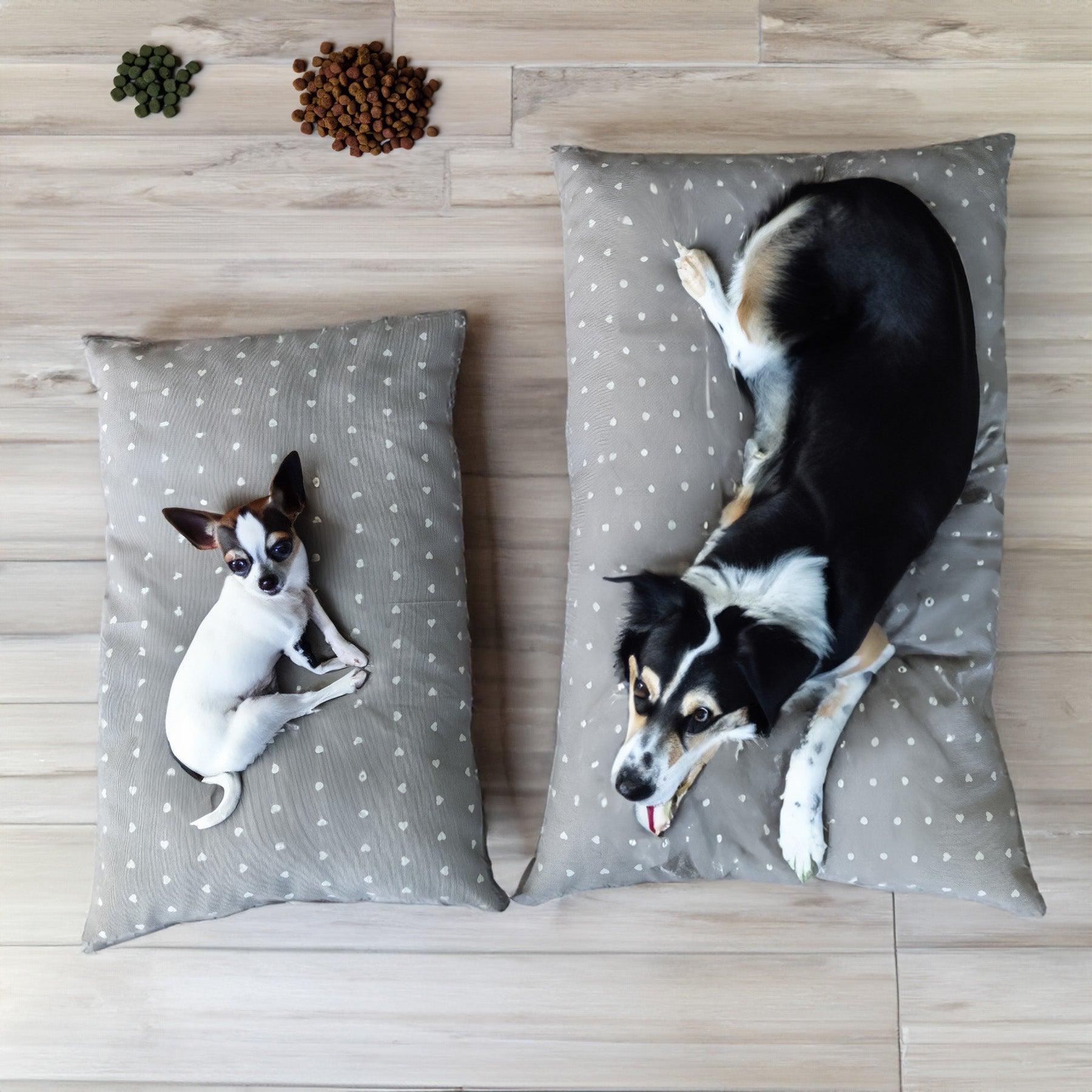 Cuscino PIPPO per cani e gatti antigraffio e lavabile - Comfort e durata per i tuoi amici pelosi su Beliamo.com